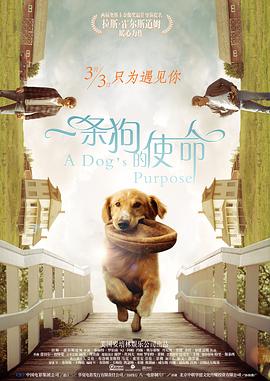 村上里沙av在线